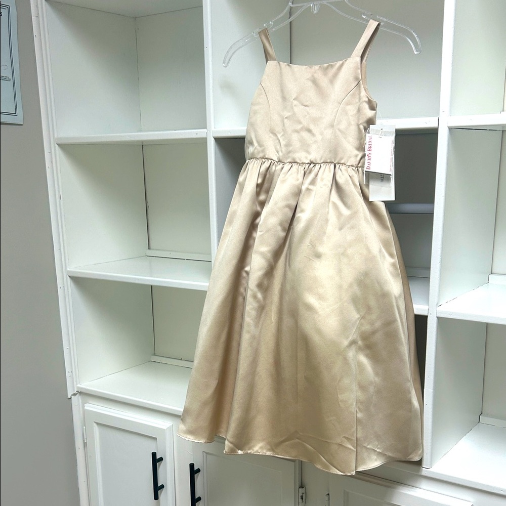 Elegant Satin Champaign Kids Dress